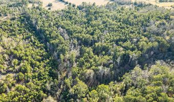 2870 County Road 2604, Alto, TX 75925