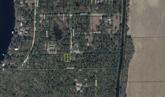 SW 14th Pl, Bell, FL 32619