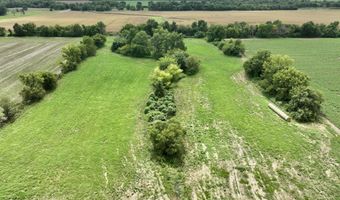 290 CR, Asbury, MO 64832