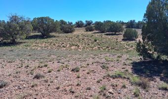 268 N 5383, Concho, AZ 85924