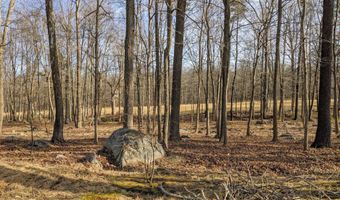 Katu Trail and Penn Forest, Albrightsville, PA 18210