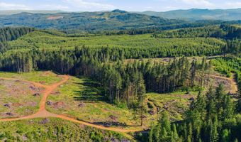 Tunnel Tract Parcel2, Banks, OR 97106