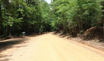 1091 Pine Grove Rd, Batesburg Leesville, SC 29006