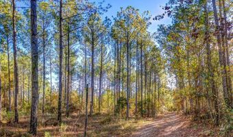 69 Highway 80 Rd, Auburn, AL 36830