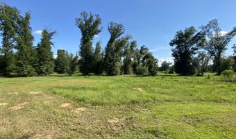 7960 NW County Road 274, Altha, FL 32421