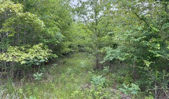 Lot 25 Rains County Road 2610, Alba, TX 75410