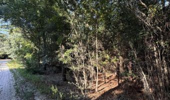 Tbd Old Castle Road, Barnwell, SC 29812