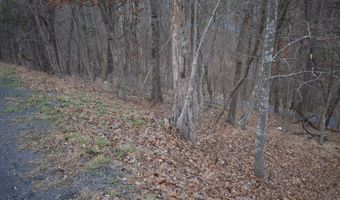 ANDERSON Road, Basye, VA 22810