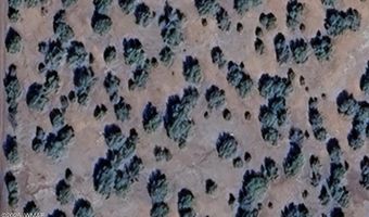 16 County Road 8136, Concho, AZ 85924