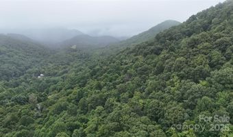 Killdevil Hill Lane unit 9 & 10 9 & 10, Bat Cave, NC 28792