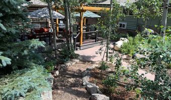 124 Ski Rd, Allenspark, CO 80510