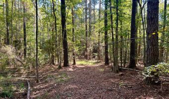 0 Lloyd Mill Rd, Andalusia, AL 36421