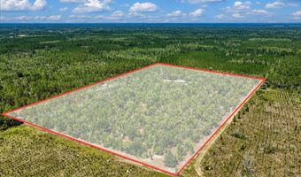 7000 NW 7th Way, Bell, FL 32619