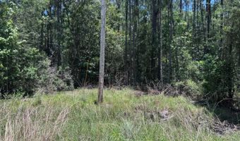3000 Woody Bayou Dr, Bay St. Louis, MS 39520
