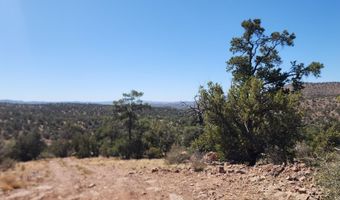 363 Big Vw, Ash Fork, AZ 86320