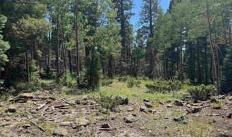 Lot 1012 El Camino Real, Angel Fire, NM 87710