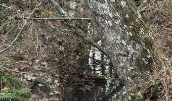 Piney Mountain Road lot 7, Appomattox, VA 24522