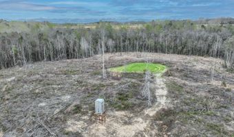 919 County Road 6628, Banks, AL 36005