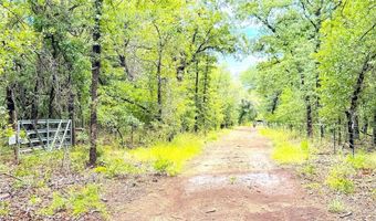 Tbd Dude Lane, Millsap, TX 76066