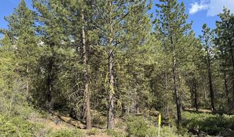 Thunderbear Road 46, Bonanza, OR 97623