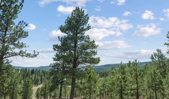 19 Laguna Negra Rd, Angel Fire, NM 87710