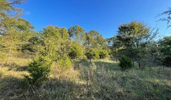 10 Acres CR 9204, Alpena, AR 72611