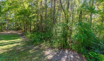TBD Barnes Rd, Andrews, SC 29510