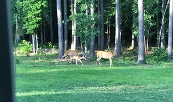 160 Slytown Rd, Amity, AR 71921
