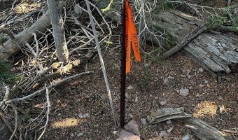 115 S Olympic Dr, Brian Head, UT 84719