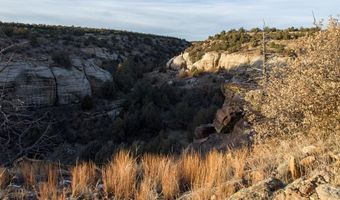 000 County Road 40.2 Poitry Canyon Ranch, Branson, CO 81027