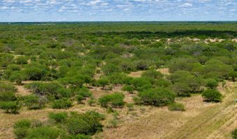 County Road 119, Alice, TX 78332