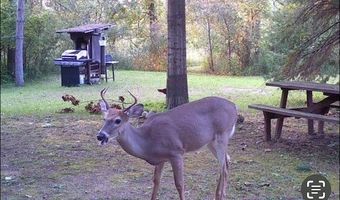 2254 E M30, Alger, MI 48610