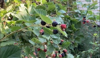 1606 Waddell, Atlantic, IA 50022