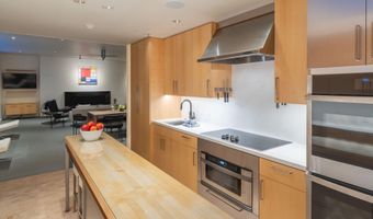 506 W Hallam St, Aspen, CO 81611