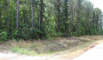 Lots 8-12 Dixie Acres, Hamer, SC 29547