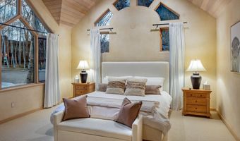 333 W Hopkins Ave, Aspen, CO 81611