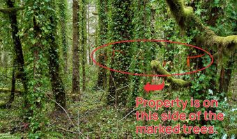 E Barlow Trail Rd, Brightwood, OR 97011