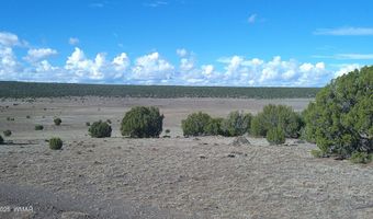 7 N CR 8171, Concho, AZ 85924