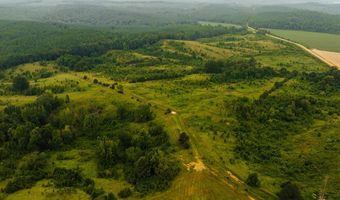 1037 Cr 300, Big Creek, MS 38914