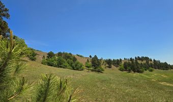 30 Alum Creek Rd, Aladdin, WY 82710