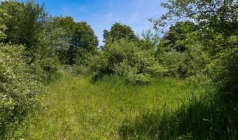 28 Mile Rd, Albion, MI 49224