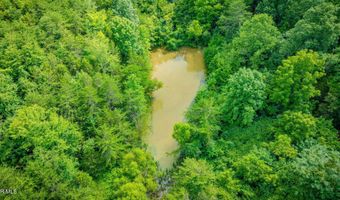 1570 Carl Doty Rd, Afton, TN 37616