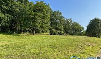 741 Poplar Springs Trl, Ashville, AL 35953