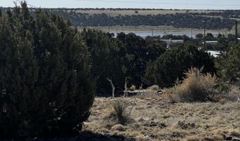 58 Short Ln 2, Concho, AZ 85924