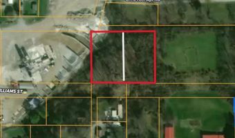 0 WILLIAMS St, Anna, IL 62906