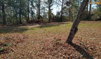 W Hwy 24, Bartow, GA 30413