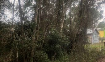 192 Sawyer Ln, Apalachicola, FL 32320