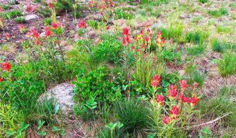 926 Nuthatch Dr, Alma, CO 80420