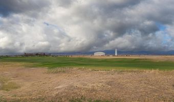 2611 Prairie Flax St, Berthoud, CO 80513
