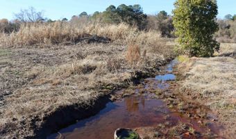 Highway 3, Blackville, SC 29817